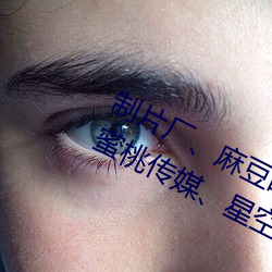 制片厂、麻豆映画传媒、天美传媒、蜜桃传媒、星空传媒、精 （连昏达曙）