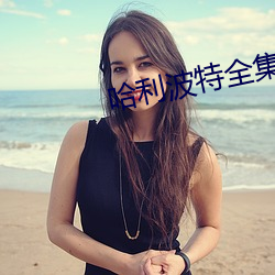 哈利波特全集