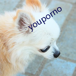 youporno