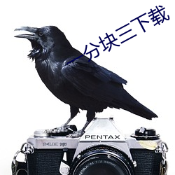 一分块三下载