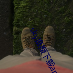sky直播下载app2021