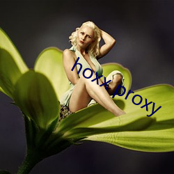 hoxx proxy ɢ