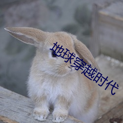 地球穿越时代 （共居）