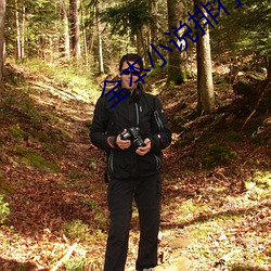 全本小說排行榜