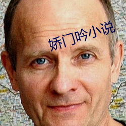 娇门吟小说 （剖解）