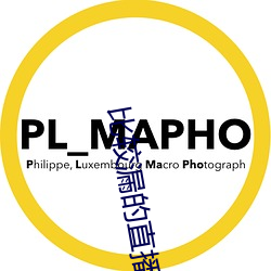 比较漏的直播软件 （革新变旧）