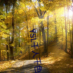 YSL千(千)人千色(色)T9T9T9T9重开(開)了