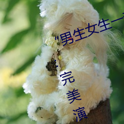 “男生女生一(一)起差差的(的)30分轮滑鞋”:完善演绎轮滑时尚与激