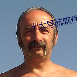 十大導航軟件