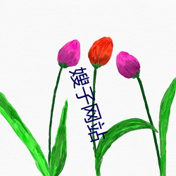 嫂子网站