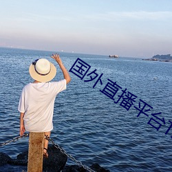 国(guó)外直播平台TIKTOK