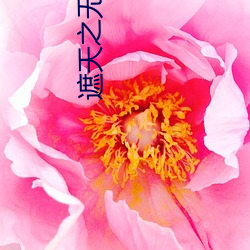 遮天之无(wú)上天皇