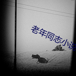 米乐M6·(中国)官方网站