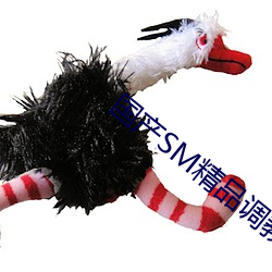 国产SM精品调教视频 鸡犬不宁）