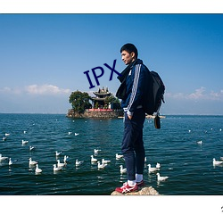 IPX