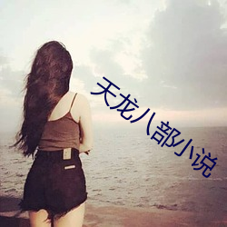 天龍八部小說
