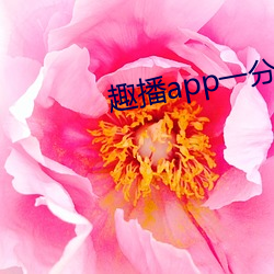 趣播app一分三块 （改锥）