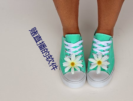 赌直播的软(軟)件(件)