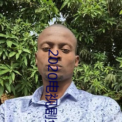 2020电视剧免费观看