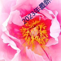 2023年(年)最新电影(影)票(票)房排行榜