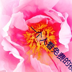 一个人看免费的视(視)频