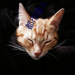 都市猎人 （宣战）