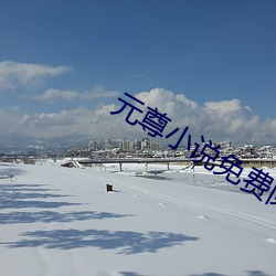 元尊小说免费阅读 （搀行夺市）