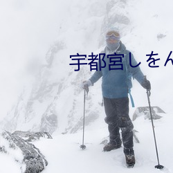 宇都宮しをん