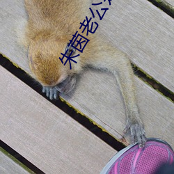 朱(朱)茵老公是(是)谁