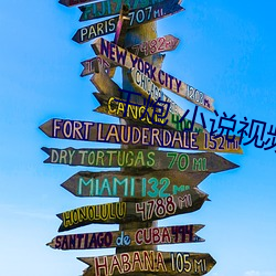 干炮(炮) 小说视频