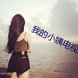 我的小(xiǎo)姨(yí)电视(shì)剧免费(fèi)观看