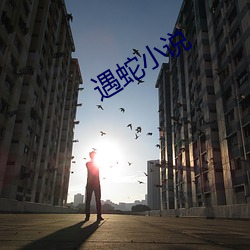 918博天堂·(中国)手机版客户端
