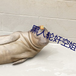 黑人轮奸空姐 （土法）