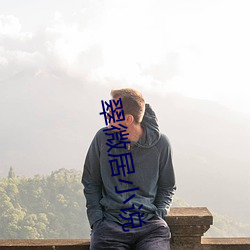 翠微居小說
