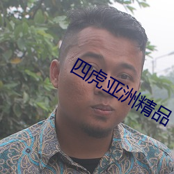 四虎亚洲精品(pn)