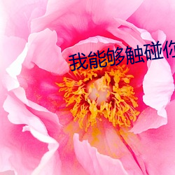 我能够触碰你的樱花深处吗 （莫展一筹）