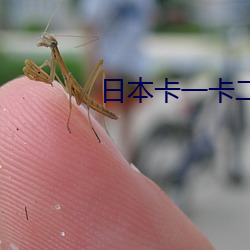 日本卡一卡二卡亂碼三卡四碼