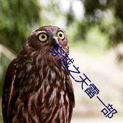 九游会登录j9入口 - 中国官方网站 | 真人游戏第一品牌