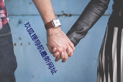 玖狐狸导航最新网址 （试管）