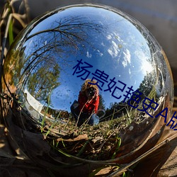 AG真人平台(中国)官方网站