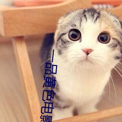 一品黄色电影