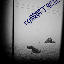 sg破(pò)解(jiě)下(xià)载在哪里(lǐ)