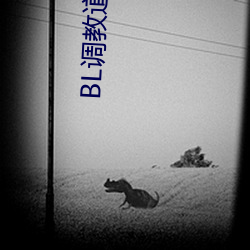 BL调教道具(具)跪趴含(含)屁(屁)股(股)