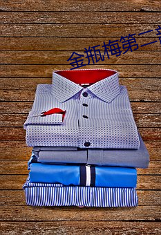 金瓶(píng)梅第二部(bù)