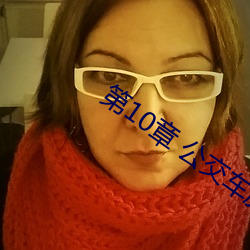 第10章(章) 公(公)交车旖旎