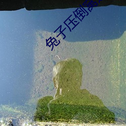 兔子(子)压倒(倒)窝边草