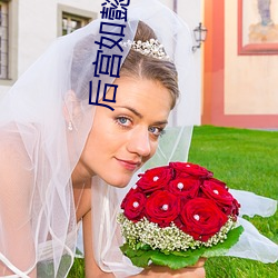 后宫如(如)懿传小说