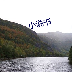 小说书 （电掣星驰）