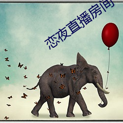 恋夜直播房间
