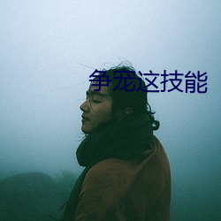 争(爭)宠这(這)技能